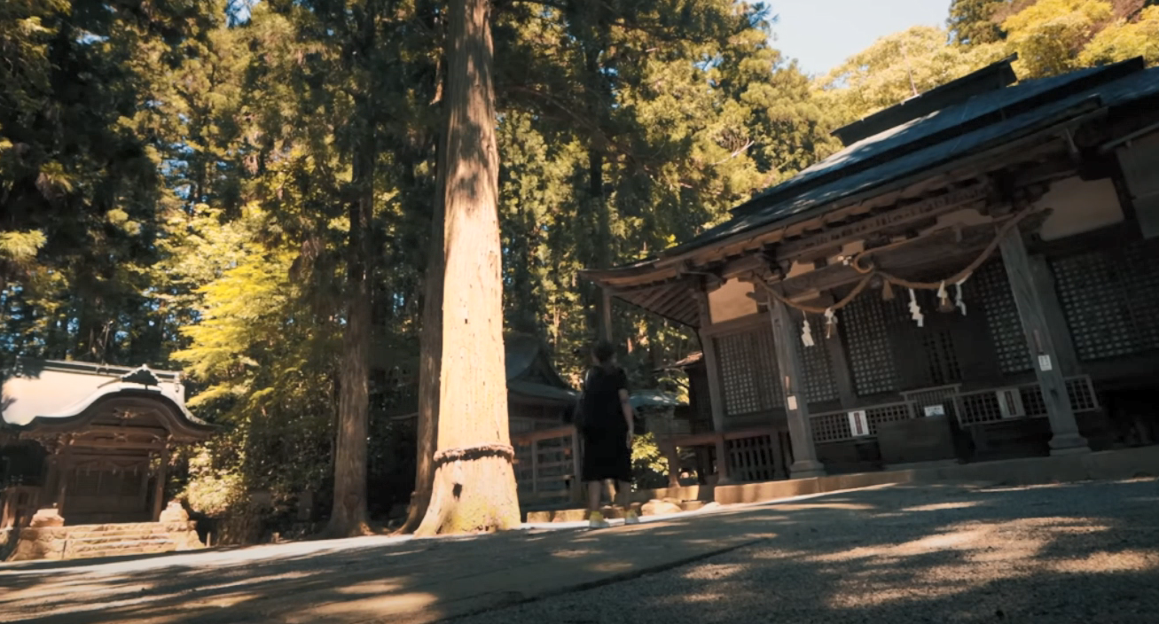 皆さん、いよいよ次に向けて出発の準備をする時が来ました。
日本について私が言えることは、旅のテーマを決めるとき、食べ物、特定の建築家、テレビ番組や映画などあると思うけど、私の場合は地元のお祭りである「飛越能5大祭」...テーマを見つけて旅の計画を立てると、予想とは全く違う道を歩むことになるということです。高山には以前にも来たことがあり、その時にはたくさんのものを見ましたが、今回も全く違う側面を見ることができました。ちょっとテーマを変えただけで、こんなにも見所があるんですね。というわけで、私と高山祭の龍は、次の街を見に行く準備をします。
次の都市のヒントを1つあげるから、下のコメントで当ててみてね。
次の街は、映画「君の名は」の影響でとても人気が出た街です。ヒントはそれだけにしておきます。答えを見たい方は、来週のビデオをクリックしてください。それではまた！